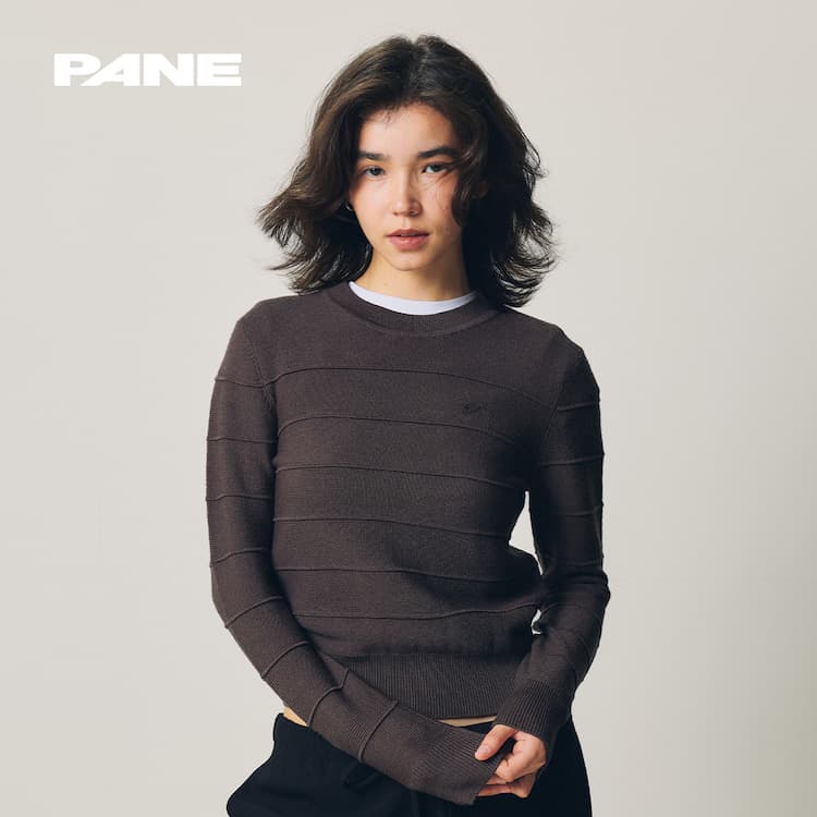 PANE