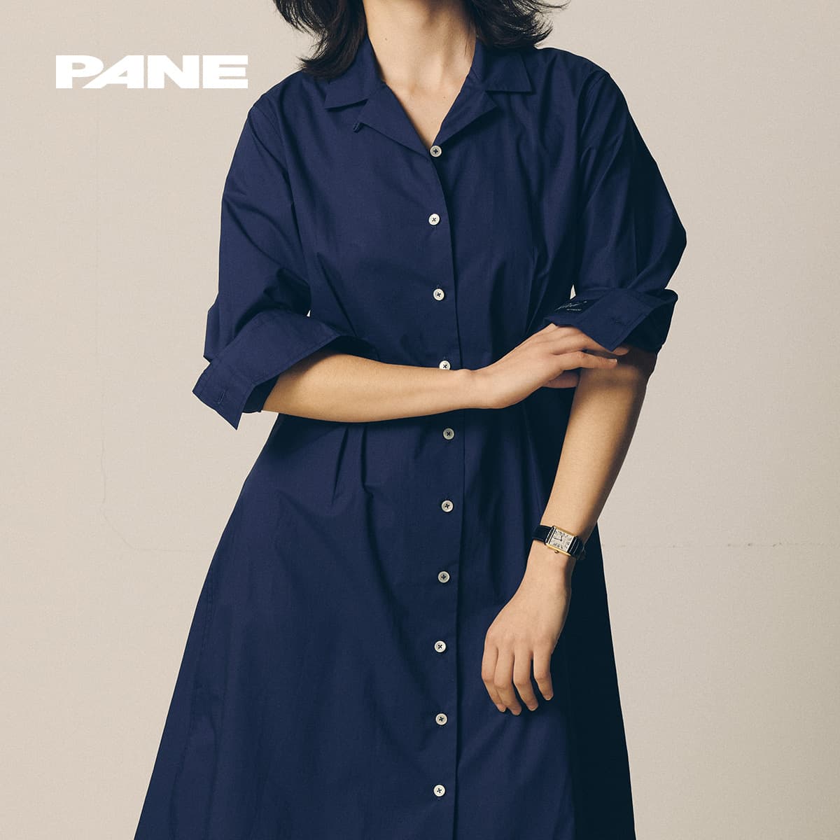 PANE A
