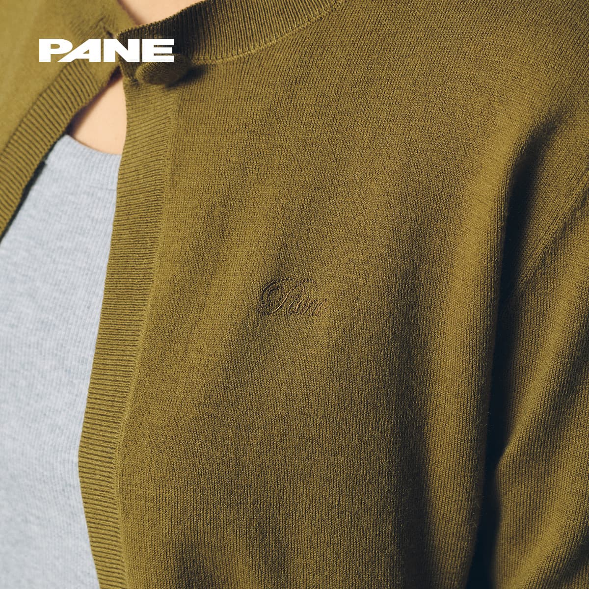 PANE
