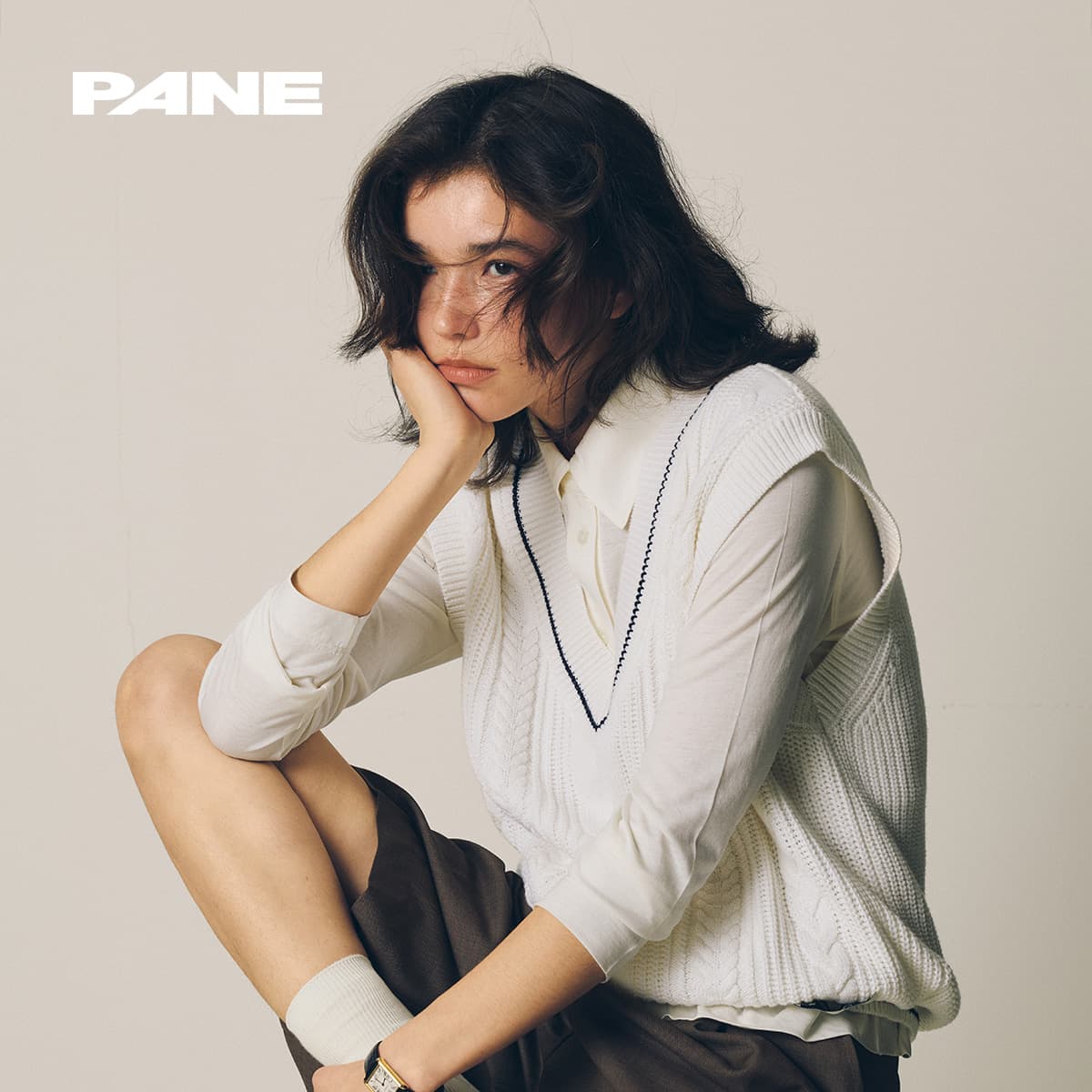 PANE V
