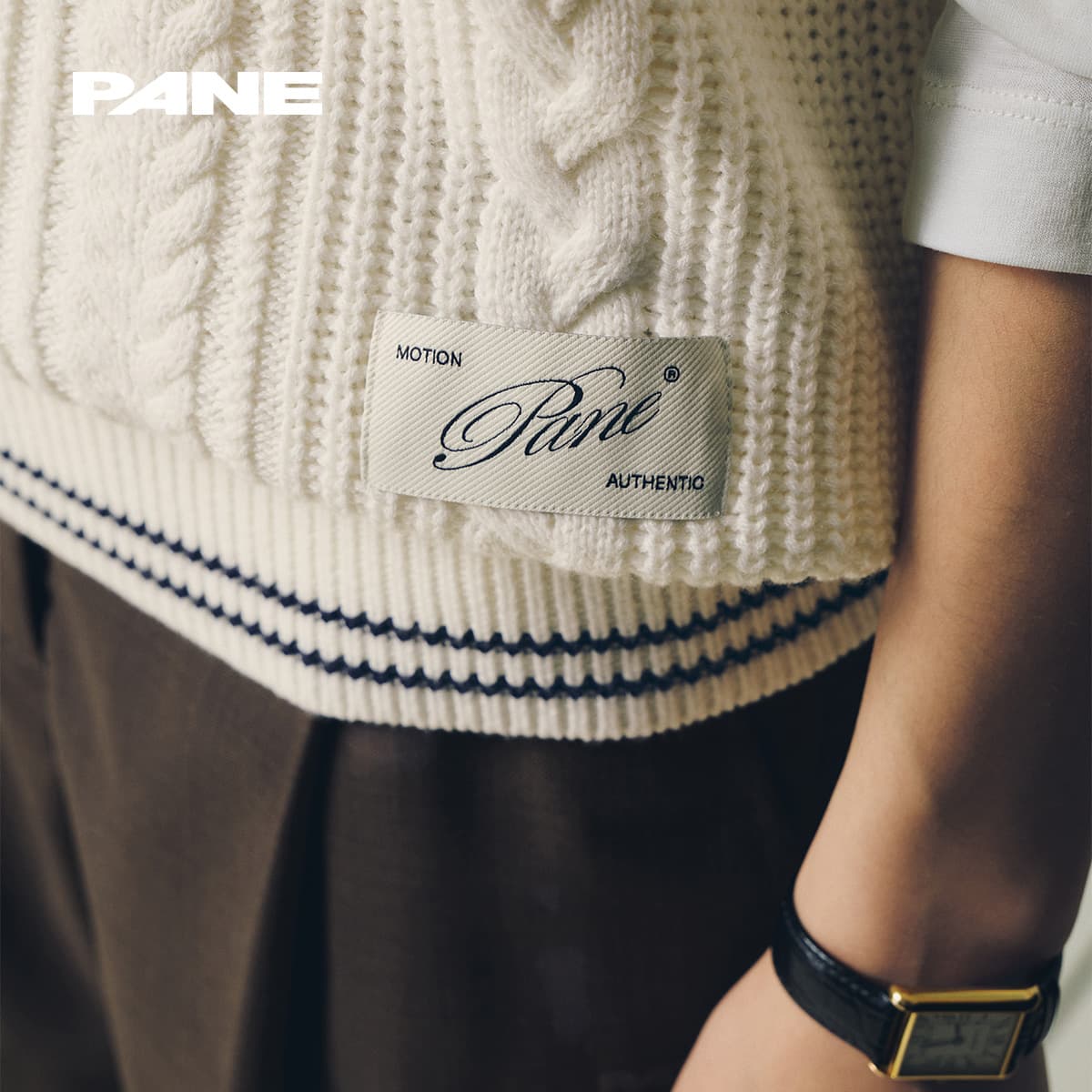 PANE V