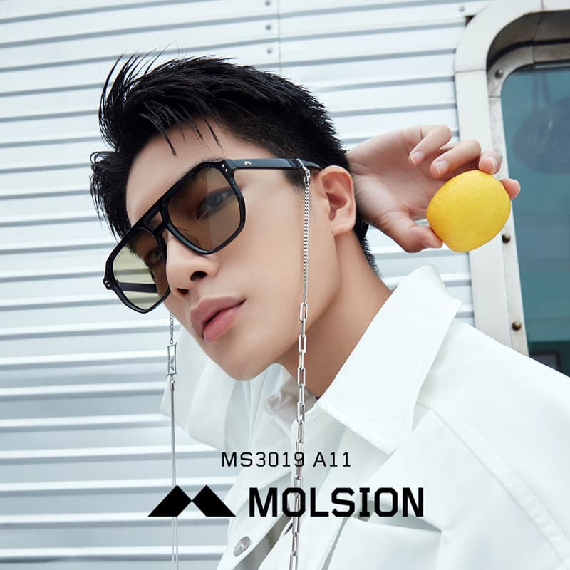 MOLSION