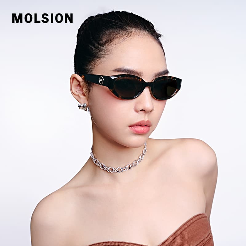 MOLSION