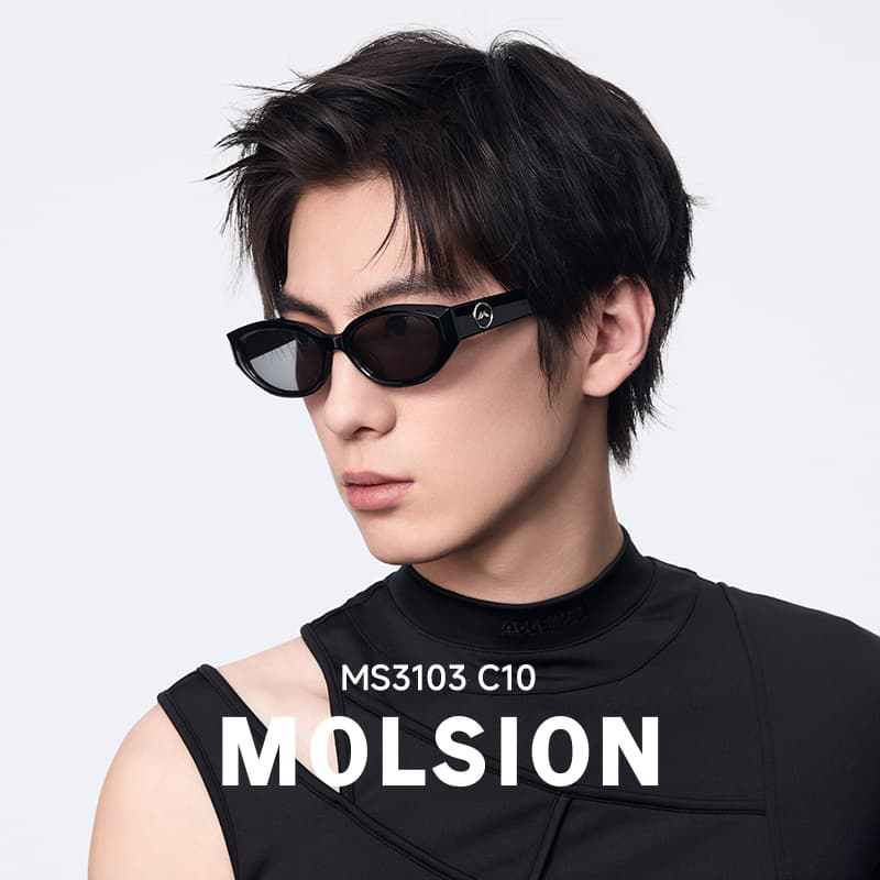 MOLSION