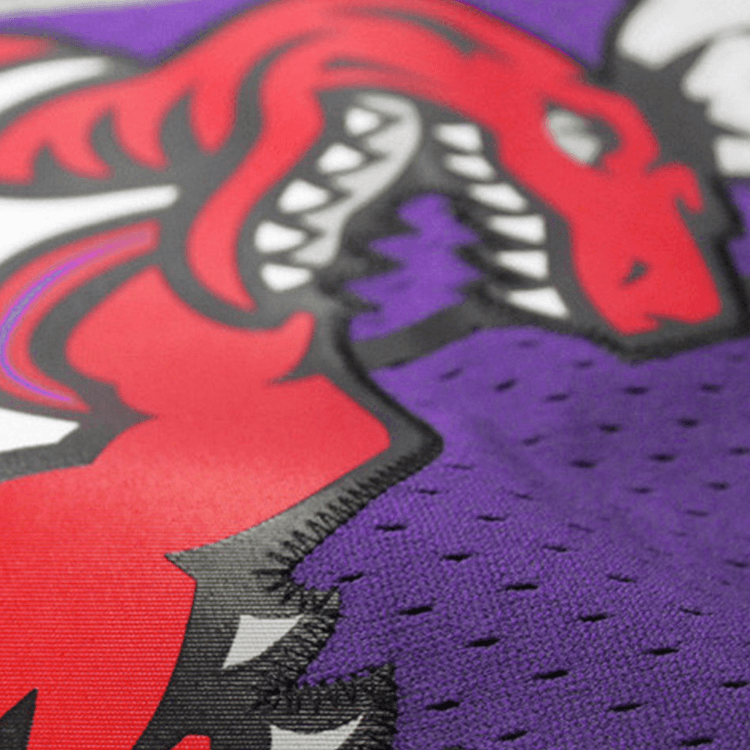 Mitchell & Ness NBA Retro Jersey Tracy McGrady Raptors Purple