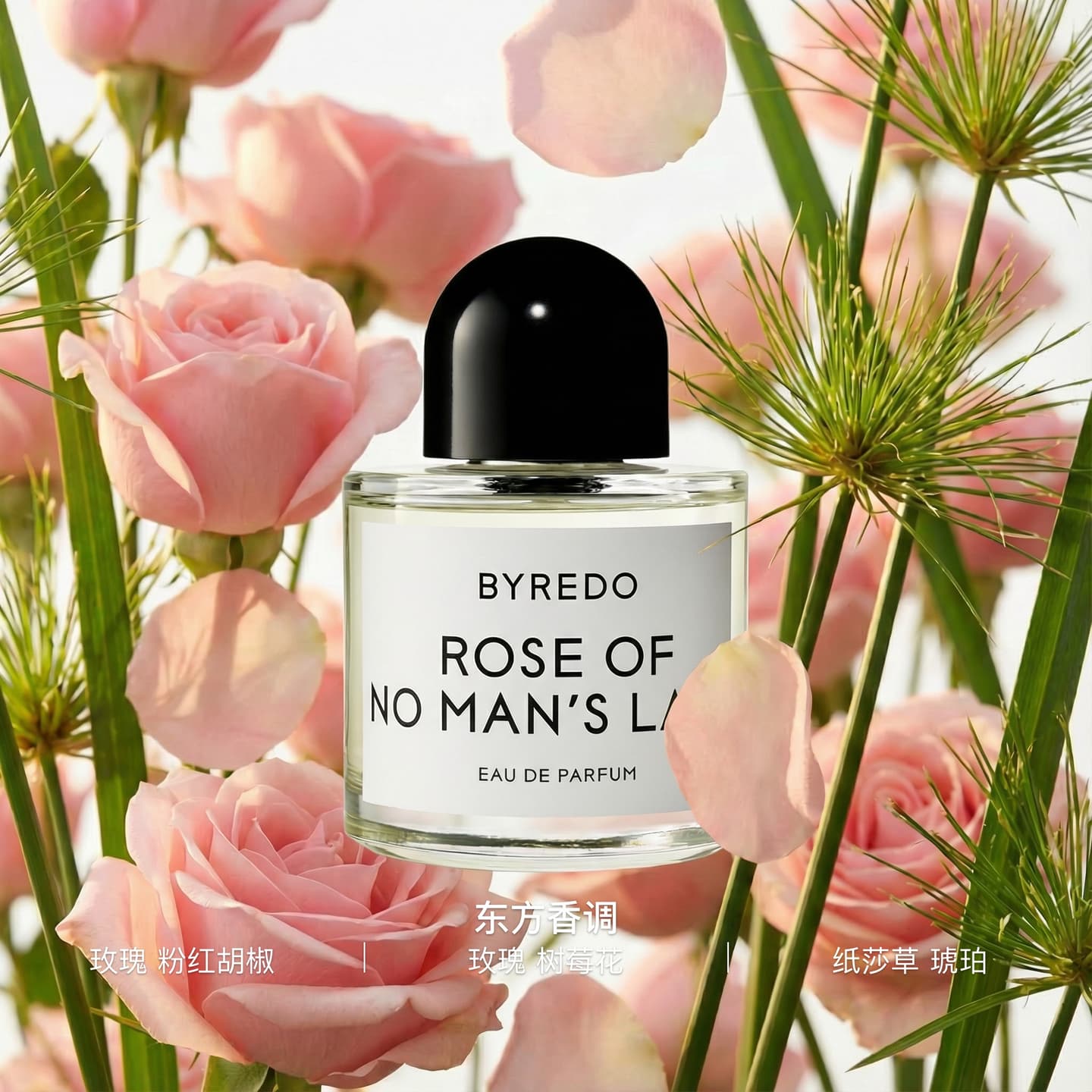 BYREDO Rose of No Man's Land Sample EDP 8ml
