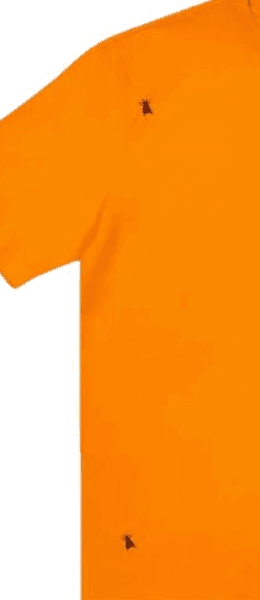 PALACE Fly T-Shirt Orange