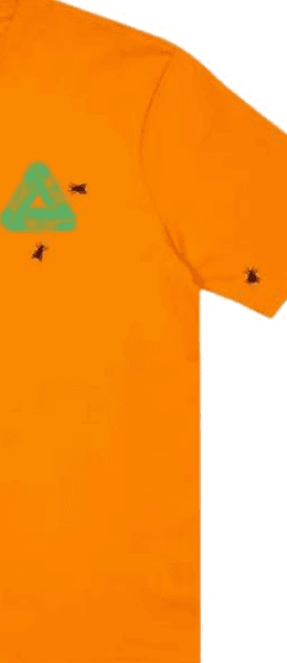PALACE Fly T-Shirt Orange